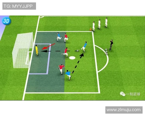 足球菊怎么在球场上发挥作用提升球队整体表现与战术配合技巧解析